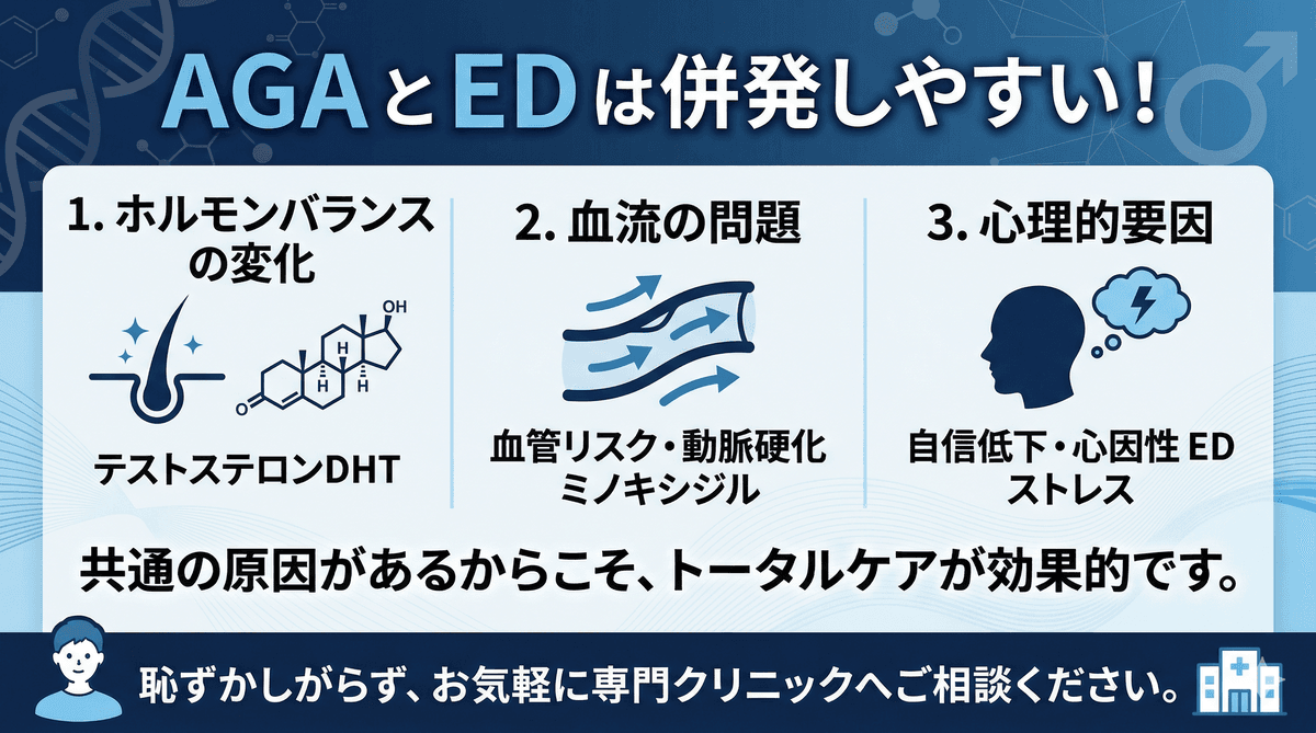 AGAとEDの意外な関係｜薄毛と勃起不全に共通する原因とは