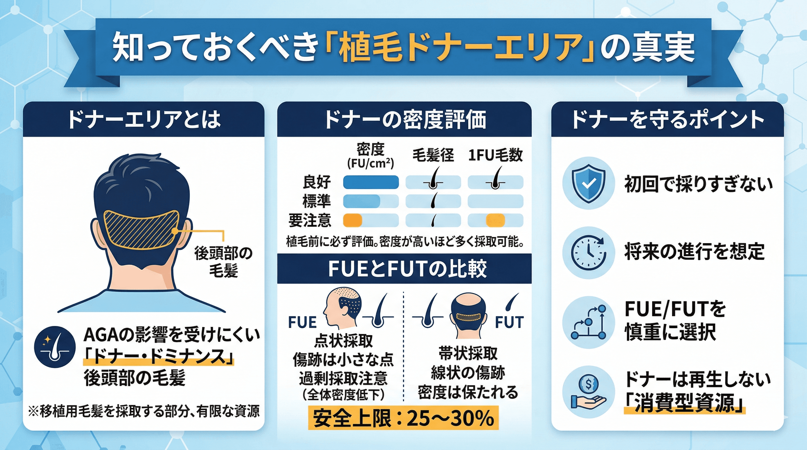 ドナーエリアの管理｜植毛で後頭部を傷めないために知っておくべきこと