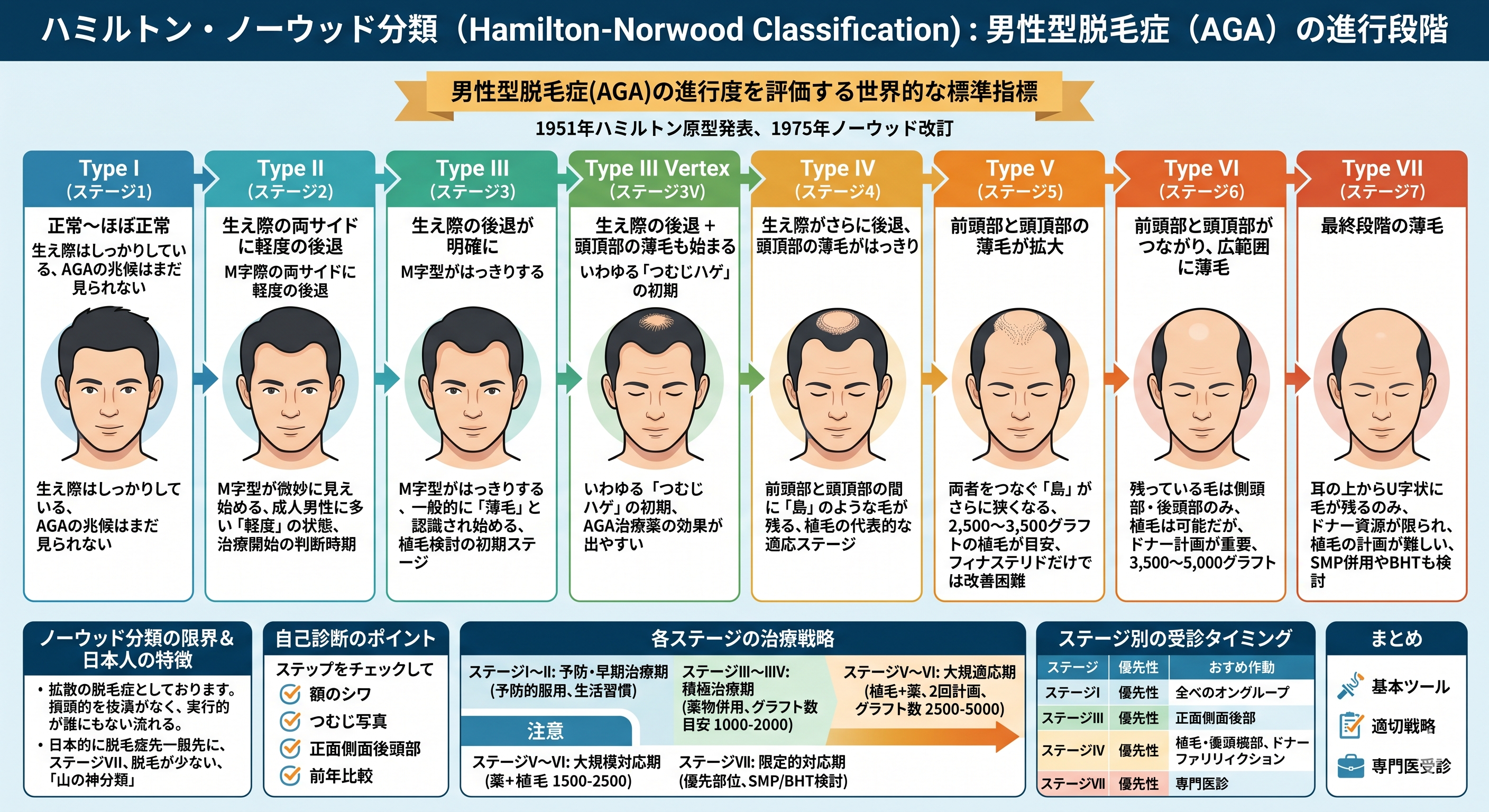 【医師解説】ハミルトン・ノーウッド分類とは？AGAの進行度7段階を医師が解説 | 植毛ドクターK｜神戸三宮